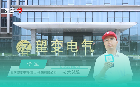 开云的登录网址x望变电气